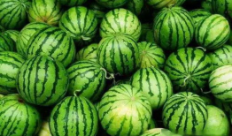 17吃瓜热门爆料正能量,正能量爆料，传递社会美好瞬间